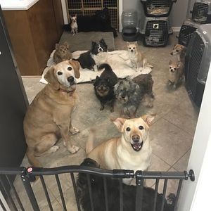 My purpose on Poshmark and on this earth. 😍